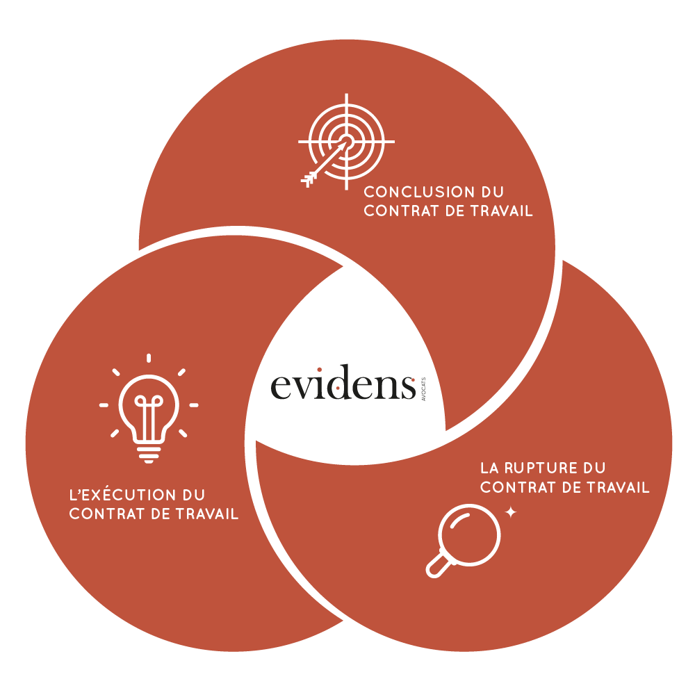 Evidens-Schema-Conseil